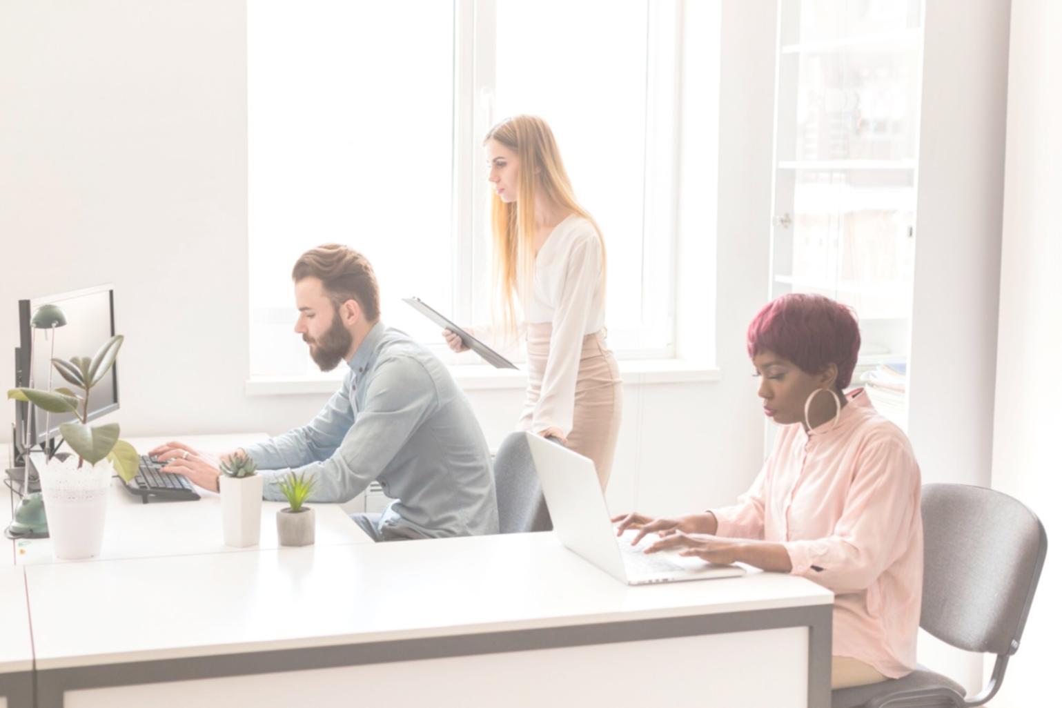 Professionelle Finanzberatung und Investmentschulung